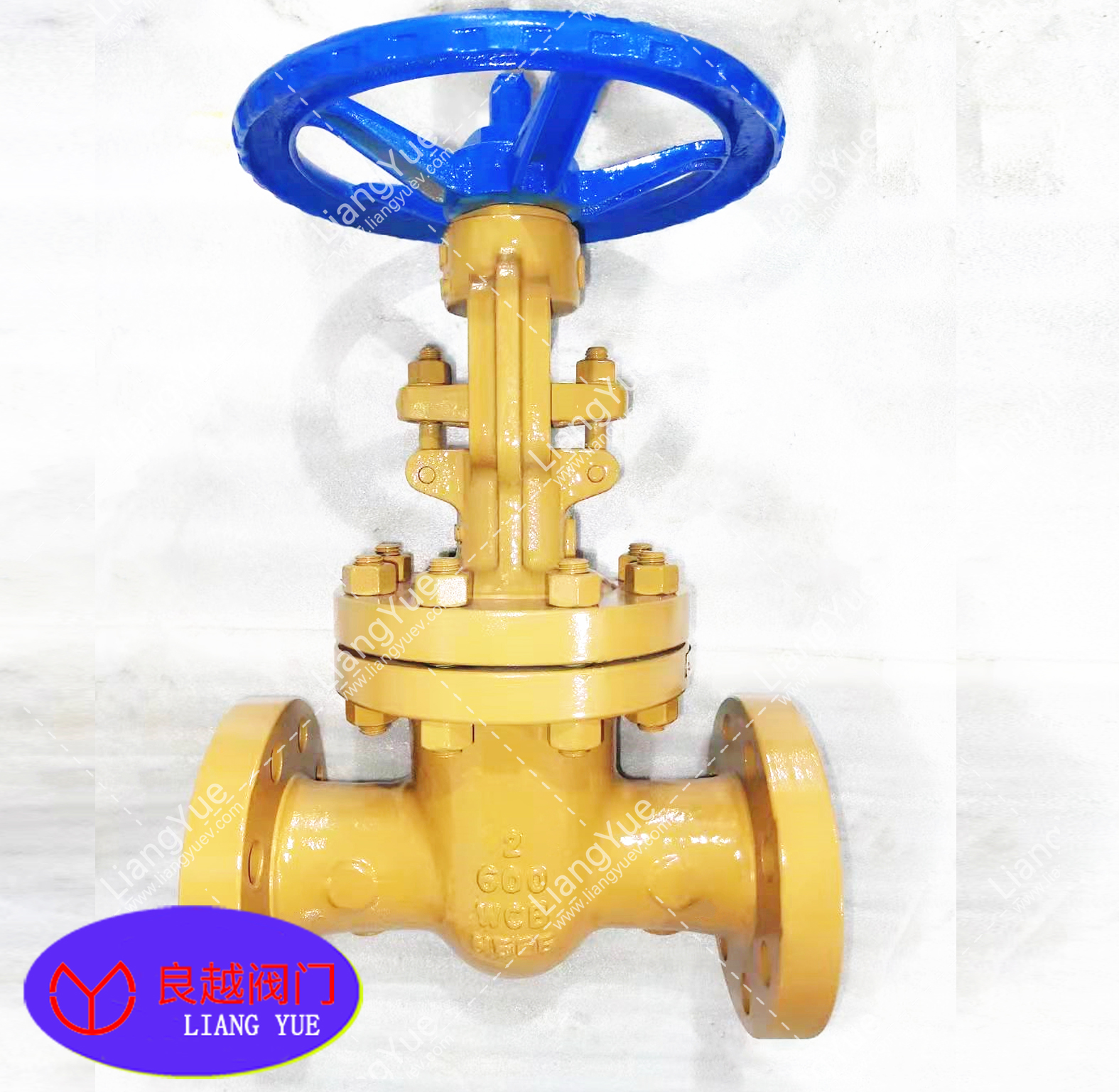 美標(biāo)閘閥CLASS600