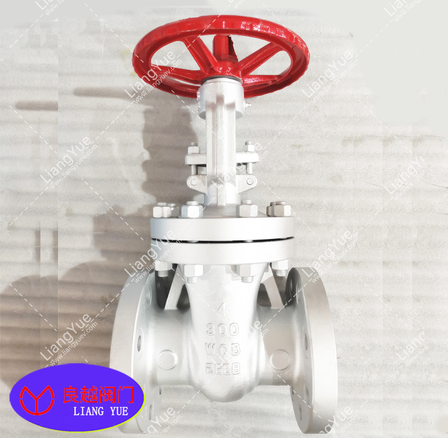 美標(biāo)閘閥CLASS300
